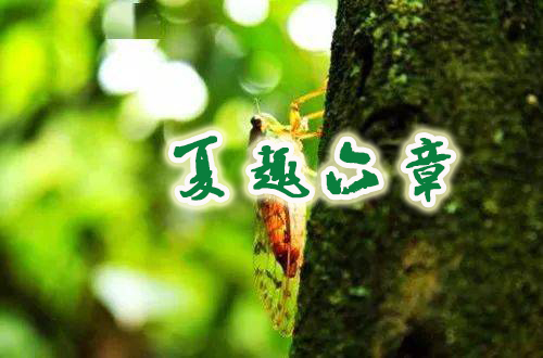 凃俊明（溧阳）：夏趣六章