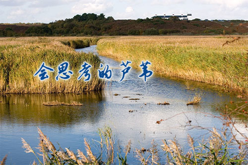 李广荣（盐城）：会思考的芦苇